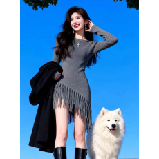 批发黑色长袖<b class='q'>流苏</b><b class='q'>连衣裙</b>2026春季新款富家千金短款收腰包臀裙裙子女装