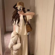 批发2026春季韩版时尚百搭宽松V领显瘦短袖上衣+阔腿裤时尚套装