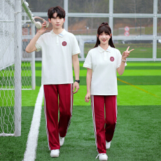 实拍天才女友田曦薇同款学生校服班服polo短袖运动毕业服