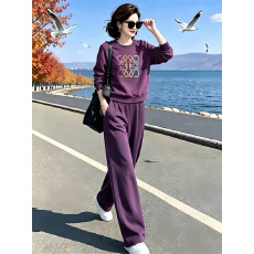 批发2026秋季新款<b class='q'>时尚</b>圆领套头上衣搭松紧腰裤