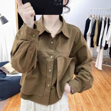 批发韩式尖领长袖衬衫女春秋工装衬衣<b class='q'>外套</b>设计感小众显瘦独特气质上衣