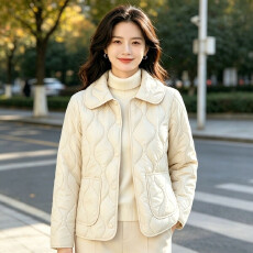 批发秋<b class='q'>冬</b>棉服外套时尚纯色羽绒棉衣妈妈秋季保暖轻薄小棉衣中老年女装