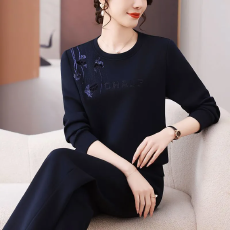批发春秋季新款休闲运动服套装女中年<b class='q'>妈妈</b>女士刺绣时尚卫衣两件套