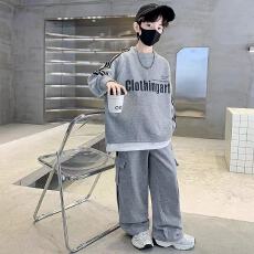 批发<b class='q'>男</b><b class='q'>童</b><b class='q'>秋</b>装<b class='q'>套装</b>2025新款中大童春秋款<b class='q'>男</b>孩帅气时髦儿童潮酷运动卫衣