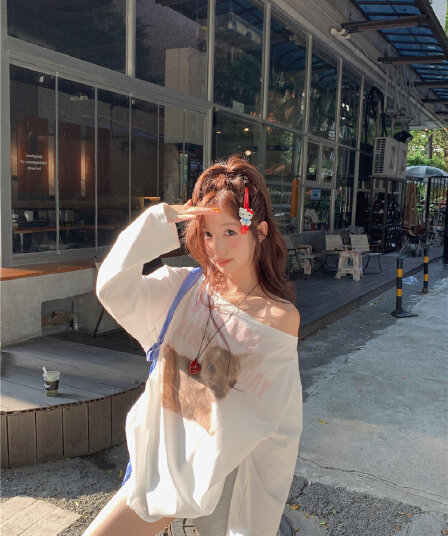 실사 한국 스타일 디자인 센스 동물 프린트 오프숄더 길다 소매 길이 일 건조 티셔츠