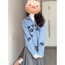 批发设计感刺绣长袖针织毛衣<b class='q'>女</b>2025秋冬新款软糯拉链<b class='q'>开衫</b>上衣外套