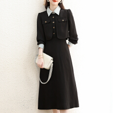 批发实拍2025秋季气质设计感收腰显瘦<b class='q'>假两件</b>长袖连衣裙今年流行的裙子