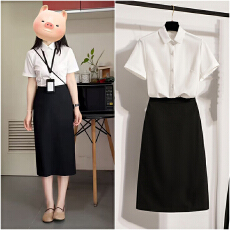 批发实拍 半身裙女<b class='q'>职业</b>教资教师教面试<b class='q'>套装</b>正装伞裙显瘦半裙中长裙