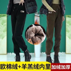 批发(复羊驼绒)加绒加厚<b class='q'>哈伦</b>休闲裤萝卜裤女2026秋冬爆款束脚外穿卫裤