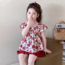 批发休闲舒适女孩套装夏季新款碎花短袖上衣<b class='q'>T</b><b class='q'>恤</b>花边短裤女<b class='q'>宝宝</b>公主装