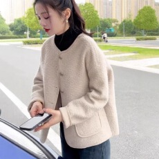 批发大码女士仿羊羔毛<b class='q'>马甲</b>皮毛一体秋冬季新款爆款中年妈妈外套洋气潮