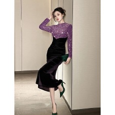 批发巨好看的宴会连衣<b class='q'>裙</b>高端大气上档次绝美平时可穿<b class='q'>小礼服</b>2025新款秋