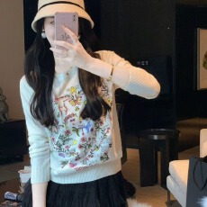 批发鱼兔子的兔子 刺绣百搭慵懒感<b class='q'>毛衣</b>女2025秋季新款高奢设计感上衣