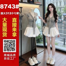 批发韩系一整套ootd穿搭巨好看复古灰色上衣花苞裙<b class='q'>裤</b>两件套装2026夏季