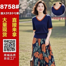 批发2026<b class='q'>女</b>装原创品牌旗舰店<b class='q'>时尚</b>撞色气质v领针织衫半裙