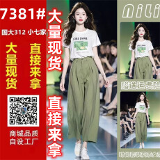批发夏季女<b class='q'>装</b>时尚<b class='q'>气质</b>穿搭一整套梨型身材休闲可盐可甜通勤两件套<b class='q'>装</b><b class='q'>裤</b>