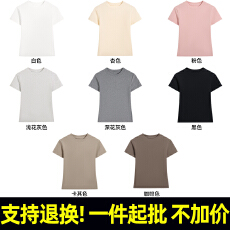 支持退货 女款T1012 #220克-氨纶纱莱卡棉 正肩短袖T恤