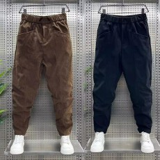 批发秋<b class='q'>冬</b>条绒百搭加绒加厚灯芯绒休闲裤男2025新款时尚宽松小脚哈伦裤