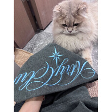 批发纯棉华棉复牛奶丝/超柔 国潮牌字母刺绣连帽卫衣女<b class='q'>情侣</b>