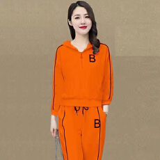 批发抖音质量】时尚套装女春秋季新款小个子洋气<b class='q'>女装</b>休闲<b class='q'>运动服</b>两件套