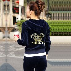 批发刺绣皇冠<b class='q'>天鹅</b>绒休闲运动套装女秋季新款时尚休闲服跑步两件套潮