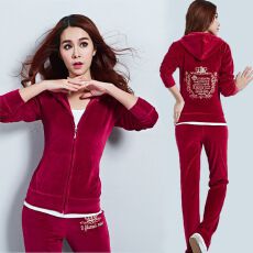 批发金丝<b class='q'>天鹅</b>绒运动套装秋冬新款休闲两件套绣花大码时尚卫衣女