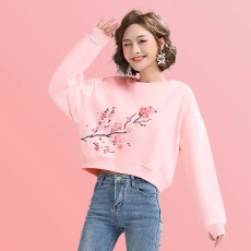 批发A1178#【加绒款+3元】圆领套头<b class='q'>短款</b><b class='q'>卫衣</b>女秋冬上衣宽松显瘦小个子