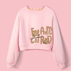 批发A1183#【加绒款+3元】圆领套头<b class='q'>短款</b><b class='q'>卫衣</b>女秋冬上衣宽松显瘦小个子