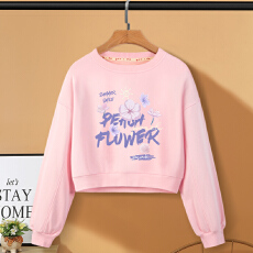 批发A1194#【加绒款+3元】圆领套头短款卫衣女秋冬上衣宽松显瘦小个子