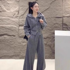 批发现货休闲运动套装女2025新款<b class='q'>时尚</b>开衫连帽上衣阔腿裤两件套潮#864