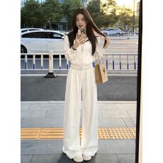 批发现货休闲运动套装女春秋<b class='q'>新款</b>时尚洋气连帽卫衣阔腿裤两件套潮#934