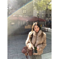 批发韩系立领灰色皮草毛外套女高级感名媛短款毛绒外套