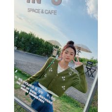 批发早秋刺绣花毛衣外套开衫女<b class='q'>短</b>款小个子V领上衣复古针织衫