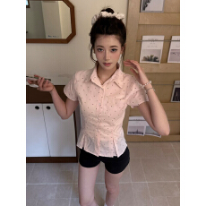 批发美式复古女ins正肩<b class='q'>翻领</b>修身显瘦polo领波点衬衫