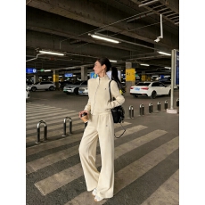 批发实拍实价简约休闲<b class='q'>修身</b>显瘦<b class='q'>运动</b>套装毛绒感高质感百搭极简两件套装