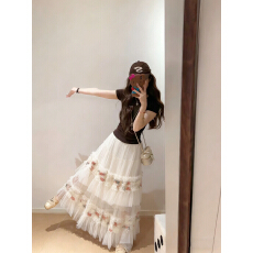 批发实拍网纱<b class='q'>百褶</b>裙蛋糕<b class='q'>半身裙</b>女春季松紧高腰显瘦木耳边a字大摆长裙