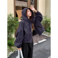 批发有里布春装新款韩版宽松冲锋衣<b class='q'>短</b>外套女百搭夹克连帽小个子上衣