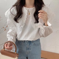 批发2026春季韩版洋气女上衣新款设计感蕾丝刺绣花边衬衣大翻领衬衫