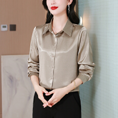 批发实拍免烫<b class='q'>长袖</b>职业<b class='q'>衬衫</b>女春季新款百搭抗皱有质感缎面气质时尚洋气