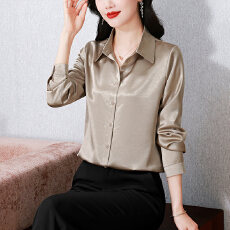 批发实拍免烫长袖<b class='q'>职业</b><b class='q'>衬衫</b><b class='q'>女</b>春季新款百搭抗皱有质感缎面气质时尚洋气
