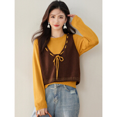 批发实拍◆系复古针织叠穿马甲两件套女秋冬季<b class='q'>新款</b>别致独特显瘦<b class='q'>毛衣</b>