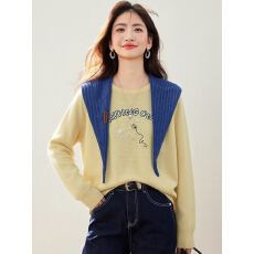 批发实拍◆有◆2026春韩版圆领刺绣小马针织衫女带披肩百搭<b class='q'>长袖</b>上衣