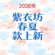 批发紫衣服春夏款上新