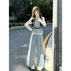 批发开春搭配一整套2026新款减龄显瘦牛仔马甲叠穿<b class='q'>上衣</b>阔腿长裤三件套