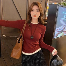 批发2025年新款秋冬撞色打底衫<b class='q'>女装</b>内搭长袖秋季上衣设计感圆领针织衫