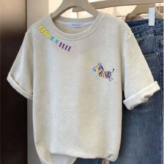 批发设计感白灰色<b class='q'>T</b><b class='q'>恤</b>女<b class='q'>短袖</b>磨毛加厚新款宽松休闲半袖印花体恤上衣