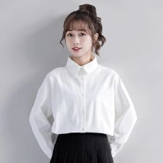 批发<b class='q'>职业</b>白色<b class='q'>衬衫</b><b class='q'>女</b>长袖2026秋冬新款内搭<b class='q'>衬衣</b>时尚设计感小众通勤上衣