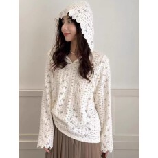 批发高级感重工钩花<b class='q'>长袖</b>连帽蕾丝衫女2025秋季新款韩版百搭打底衫上衣