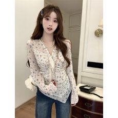 批发实拍<b class='q'>大码</b>2026春夏新款蕾丝印花上衣女显瘦遮肉温柔风小衫