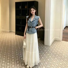批发牛仔马甲<b class='q'>连衣裙</b>夏季女装2026新款夏日绝美高级感气质网纱裙两件套